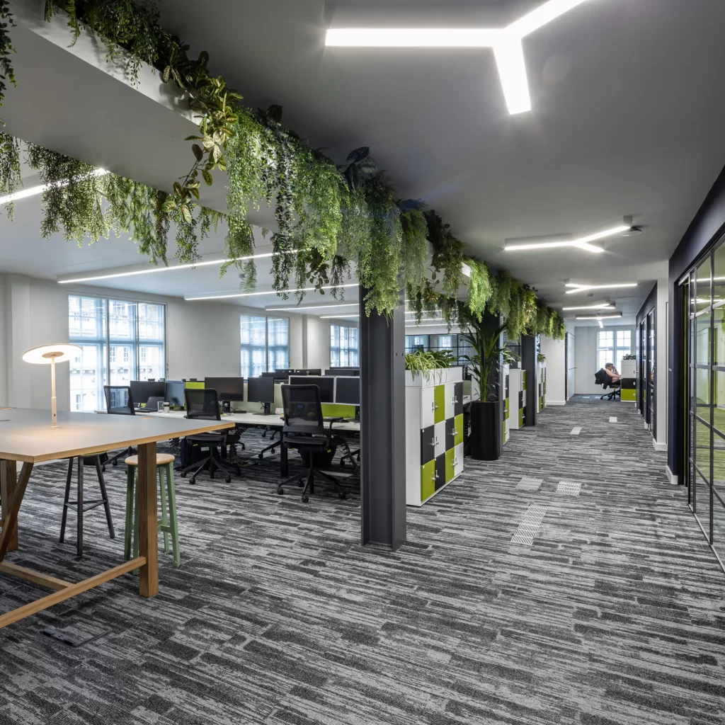 living plants for a human centric office 