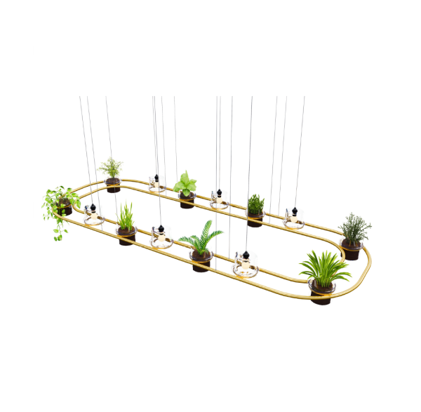 Lokken biophilic light view from above brass finish with lamps and living plants